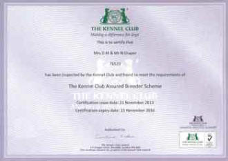 ABS Certificate
