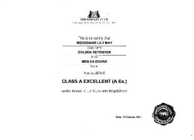AEx certificate