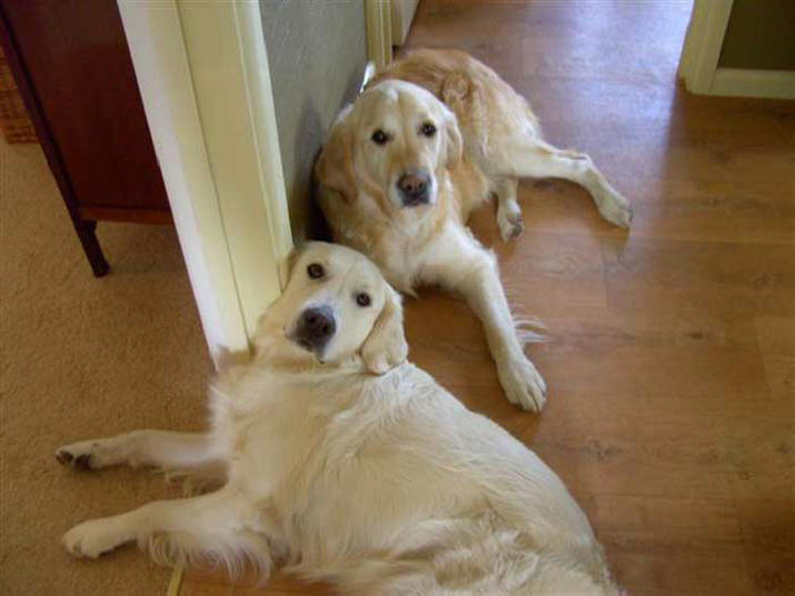 Amber and Tess