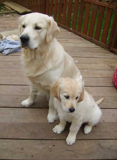 Benson with his small friend