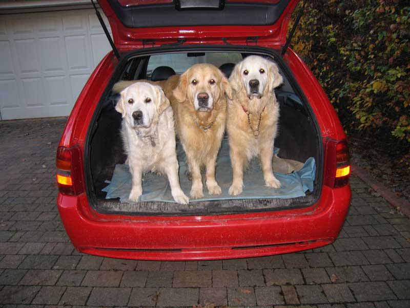 Chant Cameron and Charlie