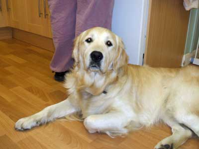 Dylan 16 months lying down