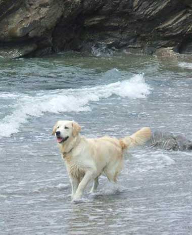 Dylan dipping his toes