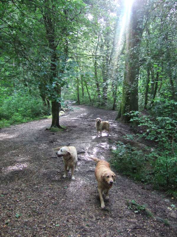 Esther Nym and Mia Forest