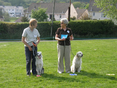 Evie winning at Plymouth