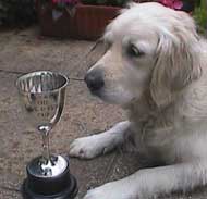Evie's Award