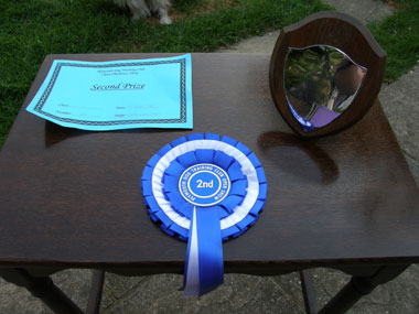 Evie's awards
