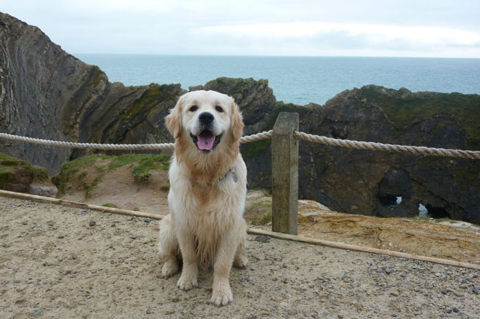 Fergus