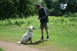 Harris with his Dad