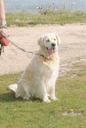 Harry at Hengistbury Head