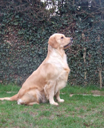 Lola
