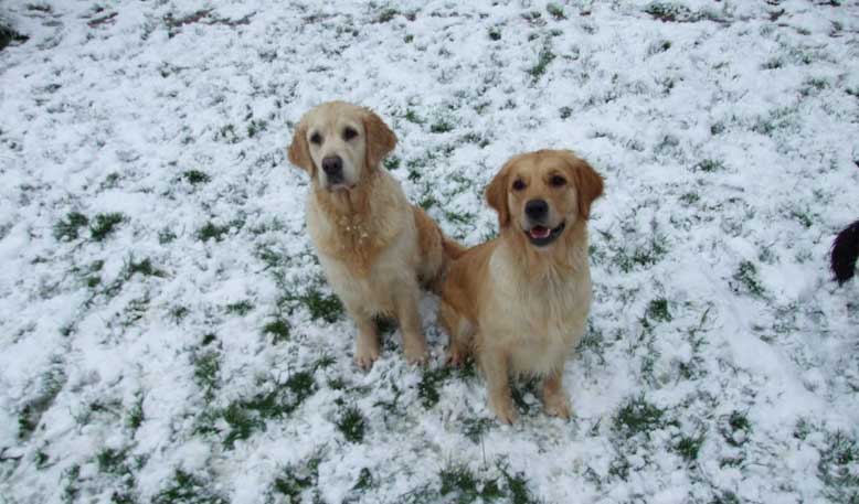Mia and Lola