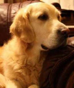 Monty