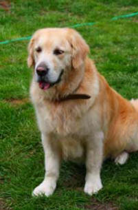 Monty