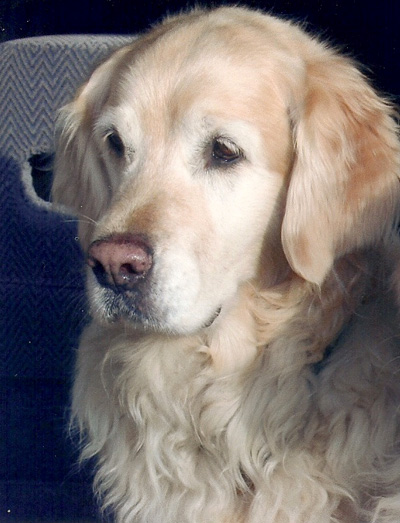 Quinn