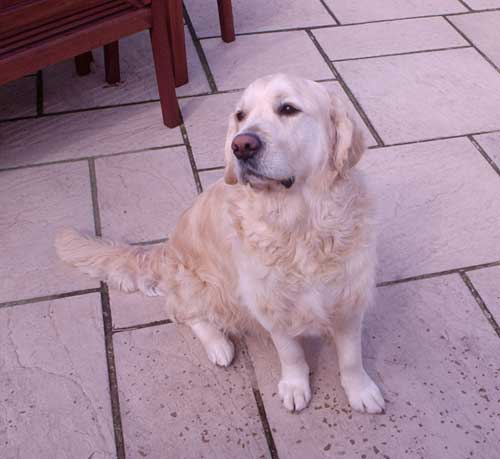 Rupert