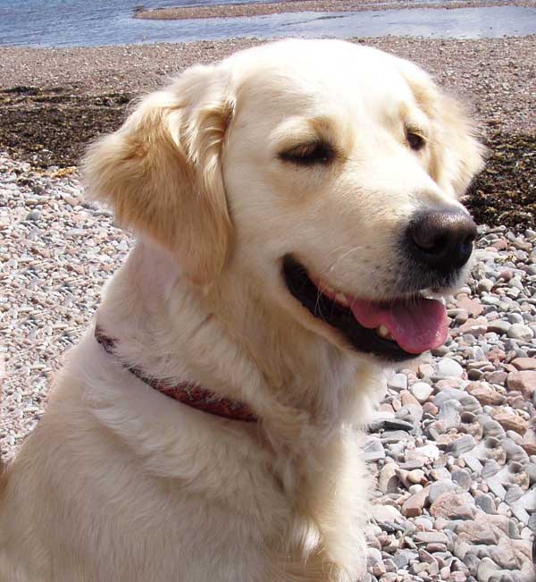 Tilly