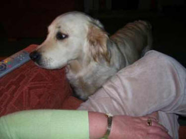 Tilly
