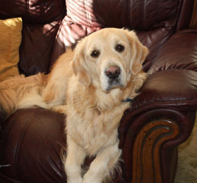 Monty having a rest