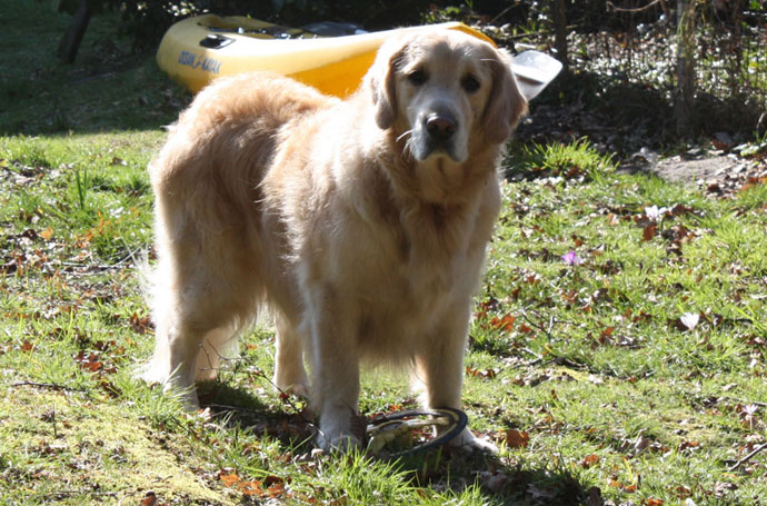 Monty